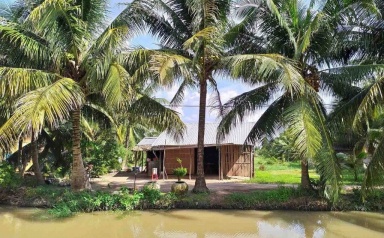 Doanh nghiệp cần trợ lực để bảo vệ chuỗi giá trị ngành dừa