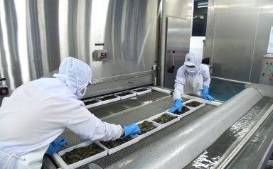 Xuất khẩu tăng tốc, thủy sản dự báo đạt 10 tỷ USD trong năm 2025