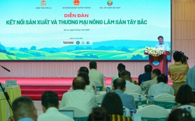 “Ai làm chủ vùng nguyên liệu sẽ làm chủ được chuỗi giá trị nông sản”
