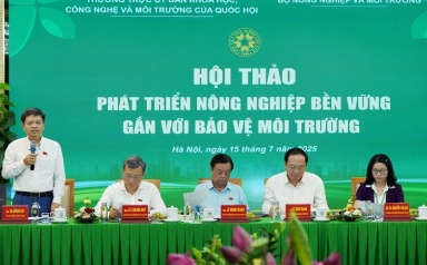 Chuyển đổi xanh: Động lực hoàn thiện chính sách môi trường trong nông nghiệp
