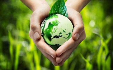 Sống xanh đang trở thành lựa chọn tự nhiên của người trẻ Hà Nội