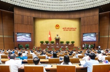 Sự “cầu toàn” chính sách