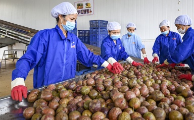 Hiệp định Thương mại tự do Việt Nam - EU (EVFTA): Sức bật mới cho thương mại Việt Nam - EU