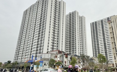 Hải Phòng kiên quyết thu hồi căn hộ chung cư với trường hợp vi phạm sử dụng tài sản công