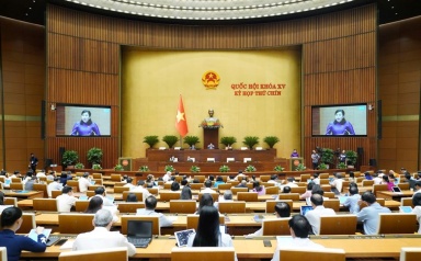 Sửa Luật, giảm thời gian thực hiện một số bước trong quy trình bầu cử