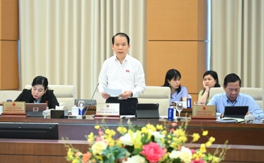 Doanh nhân xuất sắc có thể ký hợp đồng làm công chức lãnh đạo
