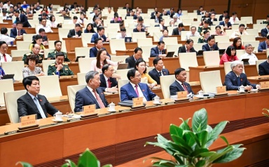 Hải Phòng Sẽ Thu Hồi Đất Nông Nghiệp Xen Kẹt Để Đấu Giá Quyền Sử Dụng Đất 11 Hải Phòng Sẽ Thu Hồi Đất Nông Nghiệp Xen Kẹt Để Đấu Giá Quyền Sử Dụng Đất