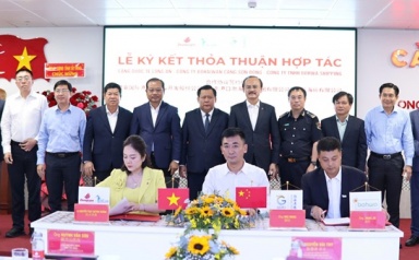 Cảng quốc tế Long An hợp tác với Cụm cảng Sơn Đông Trung Quốc và hãng tàu Singapore