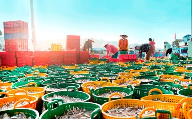 Doanh nghiệp vẫn tiếp tục đăng ký mới, dù chậm lại