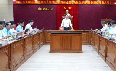 Tập đoàn VRG đề xuất tham gia đầu tư dự án năng lượng tại Gia Lai