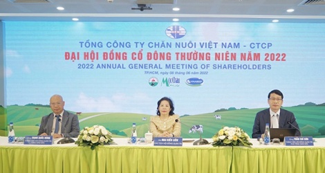 Vilico sẽ chuyển niêm yết lên HoSE, cùng đối tác Nhật Bản xúc tiến dự án Bò thịt