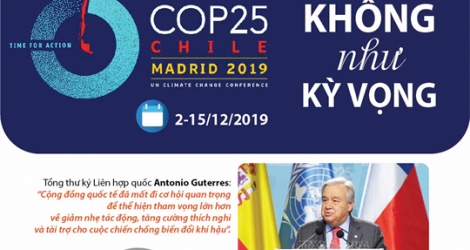 [Infographic] COP25 không như kỳ vọng