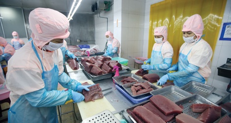Chớp cơ hội xuất hàng sang Anh