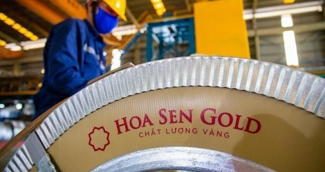 Hoa Sen: Cổ phiếu bị bán tháo, nhưng lãnh đạo vẫn đăng ký bán 400.000 cổ phiếu