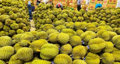Thúc đẩy trao đổi thương mại nông sản Việt Nam - Ấn Độ