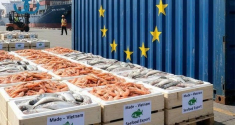 Chuẩn hóa bao bì thủy sản xuất khẩu sang EU