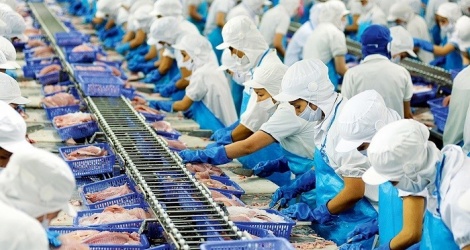 Xuất khẩu thủy sản hướng mục tiêu 12 tỷ USD - Vimarsana News
