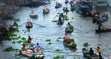 Doanh nghiệp lữ hành kiệt sức - Vimarsana News
