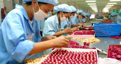 Thủ tục hải quan mua hàng từ doanh nghiệp chế xuất khác để xuất khẩu