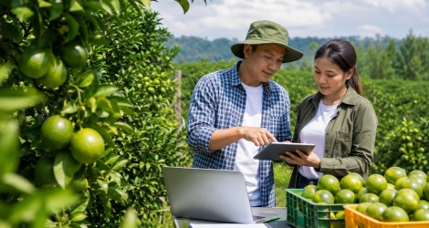 Bộ Nông nghiệp và Môi trường sửa Nghị định 38, gỡ vướng cho mã số vùng trồng