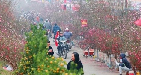 Tổ chức 51 điểm chợ hoa Xuân phục vụ nhân dân dịp Tết Nguyên đán Canh Tý 2020 Tổ Chức 51 Điểm Chợ Hoa Xuân Phục Vụ Nhân Dân Dịp Tết Nguyên Đán Canh Tý 2020