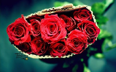 Những lời chúc ý nghĩa dành tặng mẹ, người yêu, bạn gái ngày 8/3
