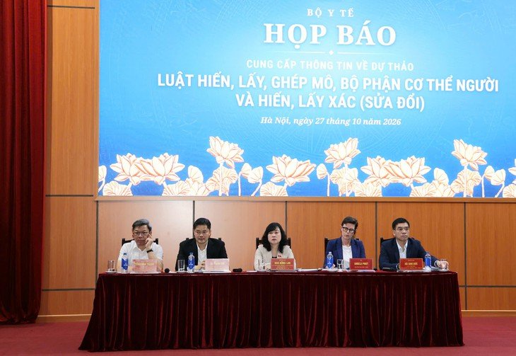hop-bao-267-1793091388036329751094