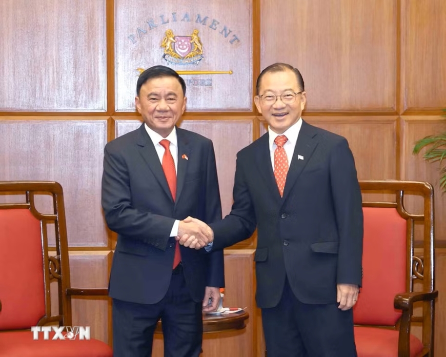 thuong-truc-ban-bi-thu-tran-cam-tu-hoi-kien-chu-tich-quoc-hoi-singapore-5