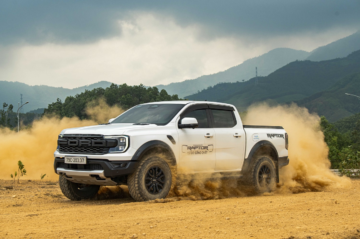 ford1